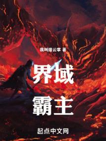 泰雷布战记之芯子