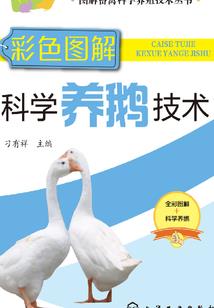 槿花还似去年时