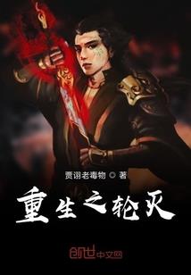 侠岚之零主