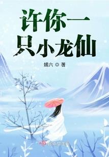 云端编梦师