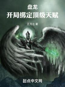 宠物小精灵之银