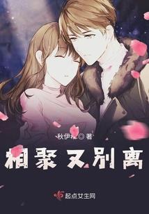 玄之风华