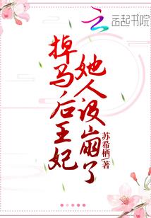 宠物小精灵之小火龙的冒险