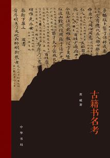 极品护妻狂魔