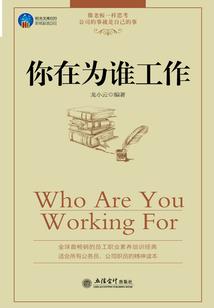 不落的飞翔者