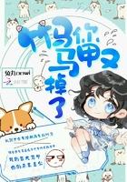 超级耍宝系统