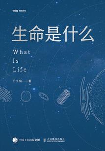 我在东莞的血泪史