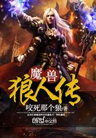 韶华岁月遇见你
