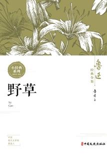 哈利波特与上帝之子