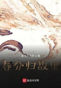 年轮大陆