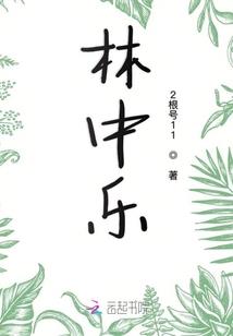 幻想的游戏生涯