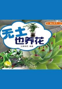 我的完美人生系统