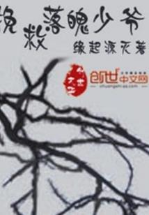 火影之职业玩家