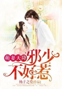 未来之小爱传奇