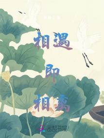 青春学园之强者之路