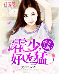 《吸血鬼相公是极品》