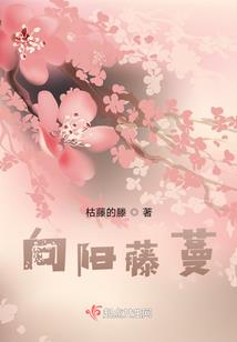 神犬来人间