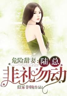海贼王之闪耀星空