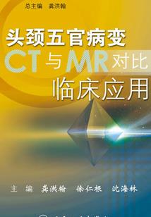 傲娇王爷在线求撩
