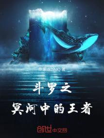 神奇宝贝之夜无月寒