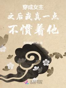 宝可梦：妖精的闪耀