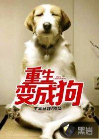 当巨星爱上猫咪小姐