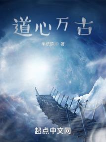 双司沉记