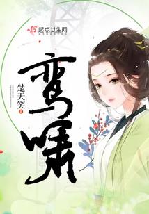 智慧顶端之一