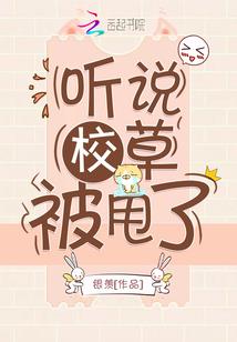 万象归一
