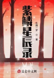腹黑傻妃逆袭记