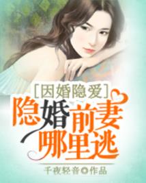 蓝蝶飞舞