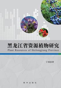 轻风依染