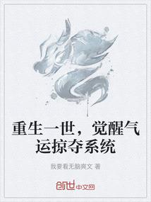 完美系统之完美男人