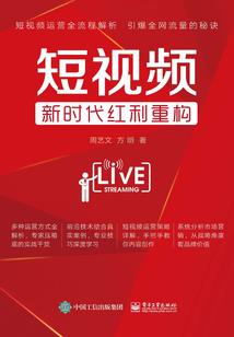 痴傻王爷II妃孕不可