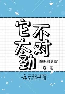 刘大宝的奋斗