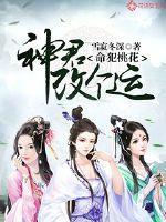 沉月杂货铺