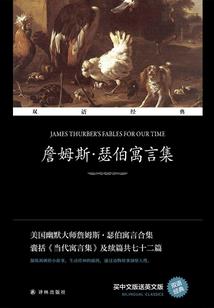 印天传奇