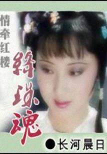 镜花三世缘第二部