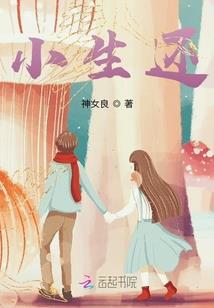 庶女贤妃
