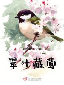 不良少年之我是混黑
