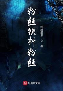 总统夫人是皇妃