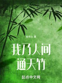 修真－风行天下