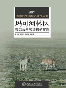 红旗背面之走在暗夜的行尸