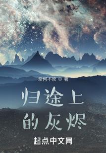 找乐子的观察者