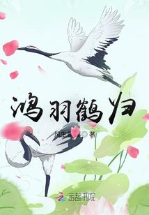 林影明灭