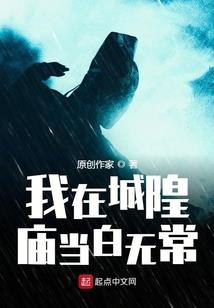 寂城的雪