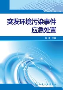 天宇之咒