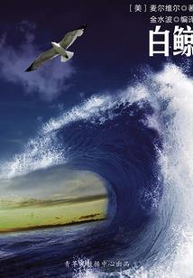 真实寻宝