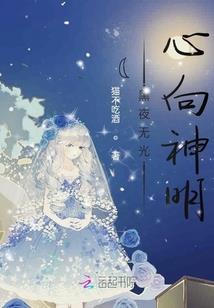 枫叶遇雪停风处