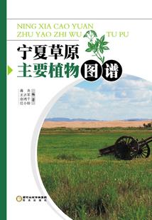 与你共执剑